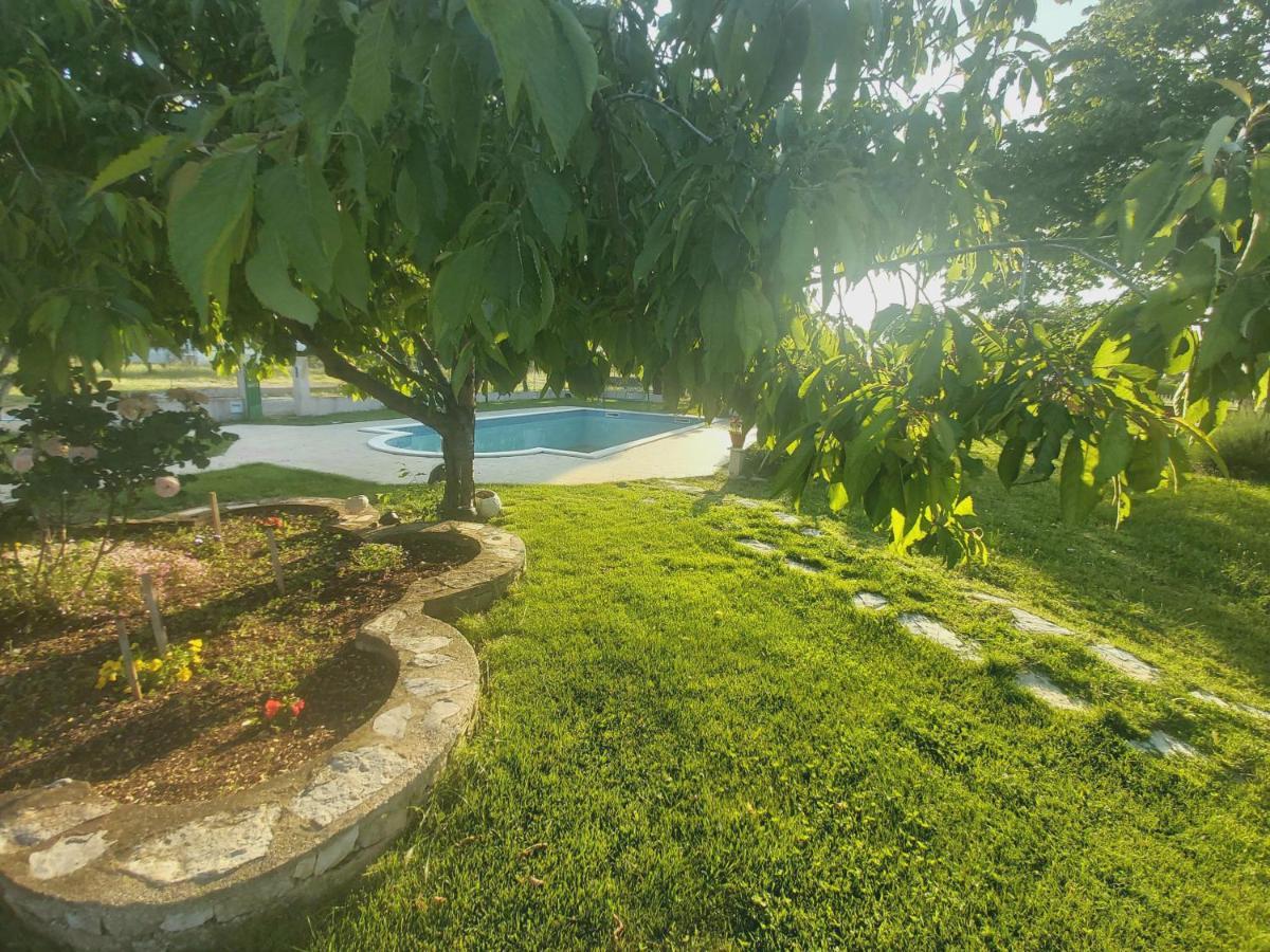 Kaja House Apartments Lozovac Kültér fotó