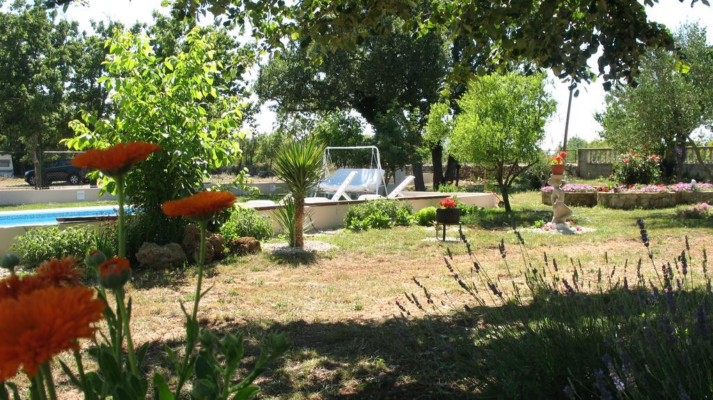 Kaja House Apartments Lozovac Kültér fotó